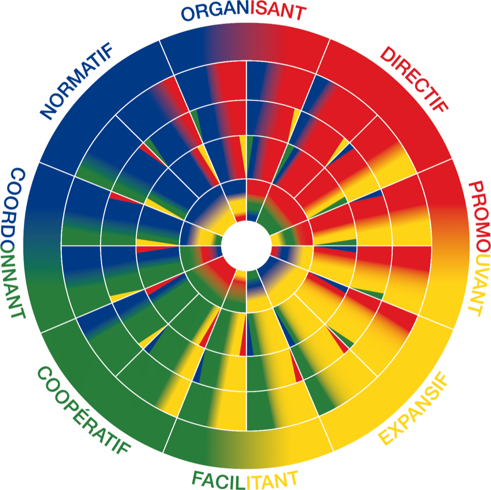 2.-Roue-adjectifs-sans-chiffre-sans-fond-blanc (1)