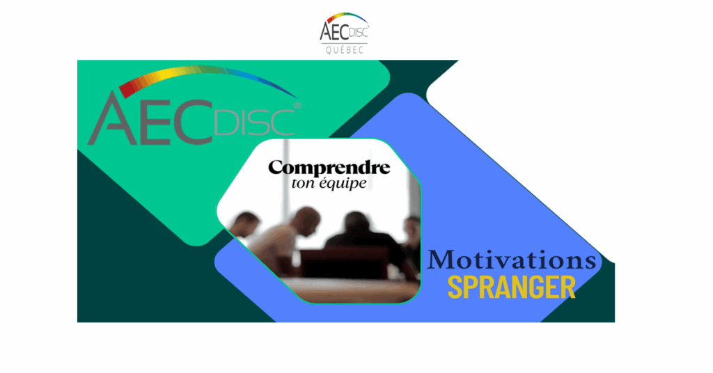 Comprendre Équipe DISC SPRANGER
