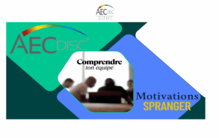 Comprendre Équipe DISC SPRANGER