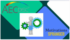 Motivations SPRANGER AEC DISC